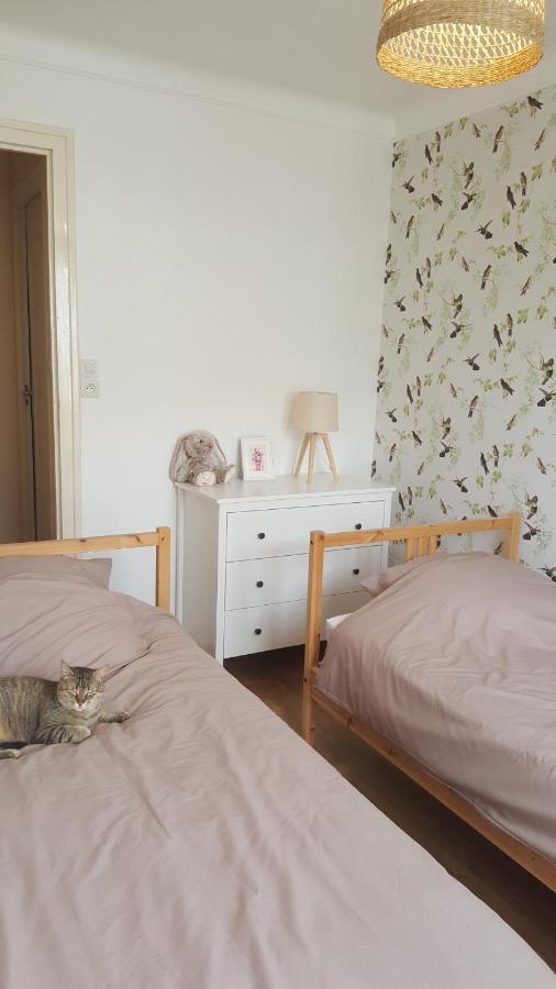 Chambres D'Hotes Au Centre De Guemene-Sur-Scorff Bagian luar foto